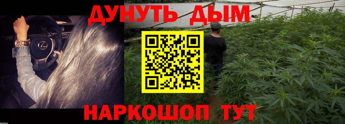 Конопля планчик Апшеронск